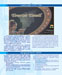 Click here to view the Page 12 of TVU Brochure