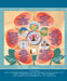 Click here to view the Page 28 of TVU Brochure