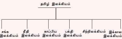 TVU-Co1231d1