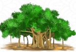 ஆலமரம்