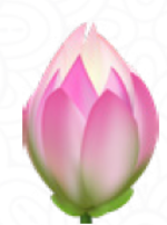 மொட்டு