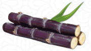 கரும்பு