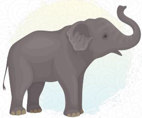 யானை