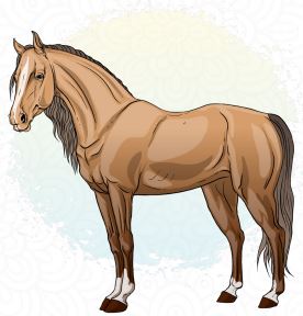 குதிரை
