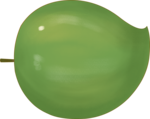 மாங்காய்