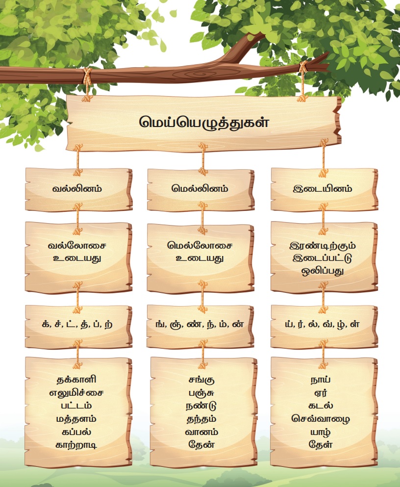 மெய்யெழுத்து வரைபலகை