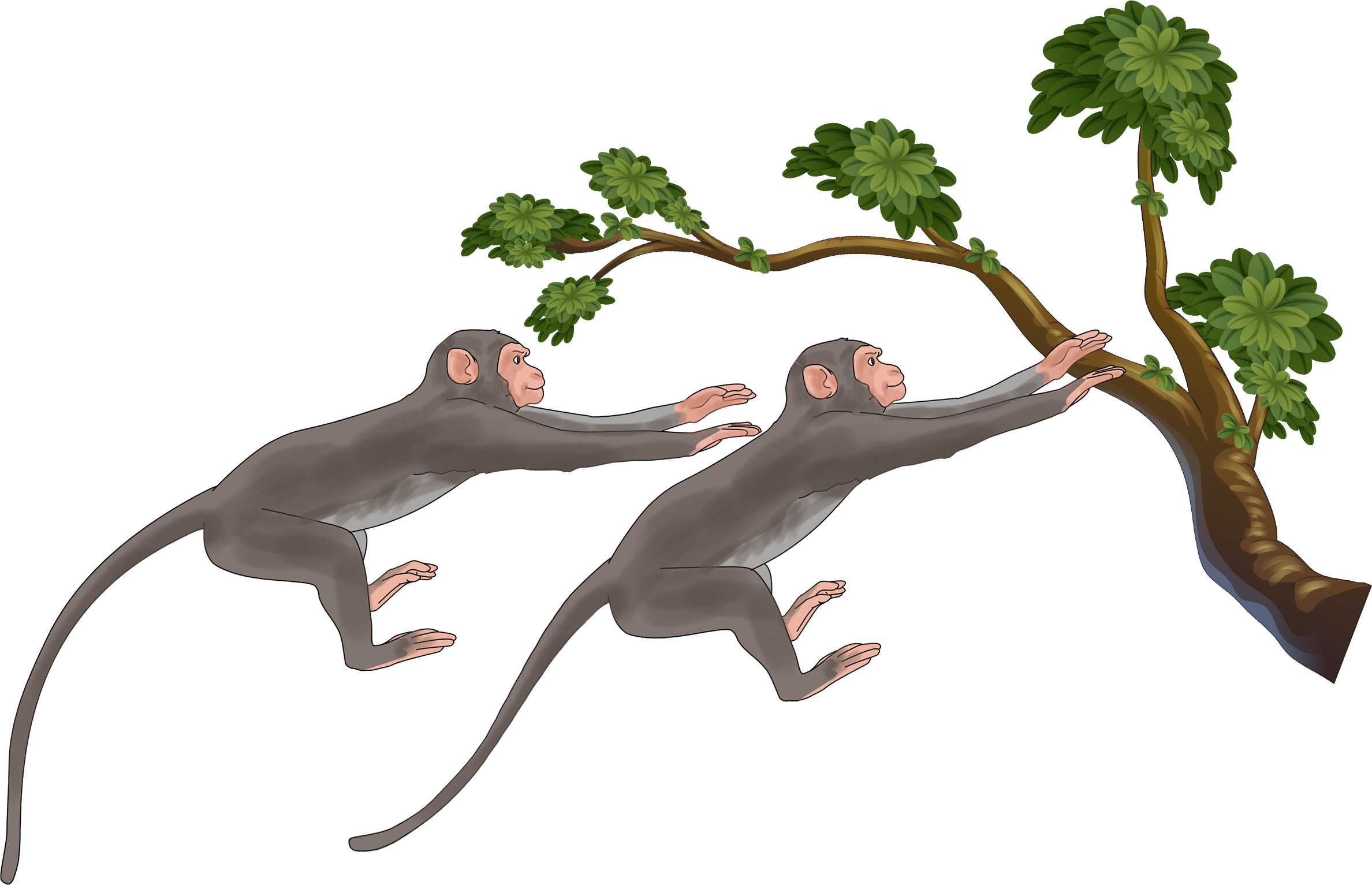 குரங்குகள்