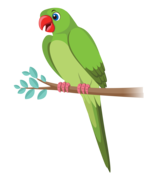 பச்சைக்கிளி