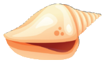 சங்கு