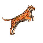 புலி